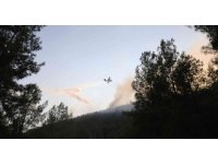 Vali Arslantaş: "Yangının kontrol altına alınması için ekipler cansiparene çalışıyor"