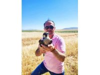 Yol kenarında yaralı buldukları doğana yardım eli uzattılar