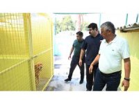 Başkan Topaloğlu: “Tüm canlıları korumaya devam edeceğiz”