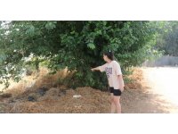 Antalya’da vicdanları sızlatan olay: Ağaç altında bebek bulundu