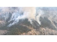 Mersin’deki orman yangınına müdahale ediliyor