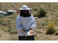 Uzmanlığını anne şefkati ile birleştirip arıcılığa başladı