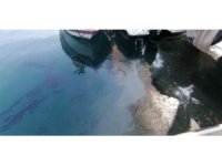 Manavgat Irmağı’nda tepki çeken görüntü