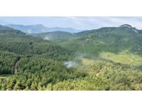 Osmaniye’deki orman yangını kontrol altına alındı