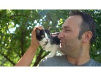 Sokak hayvanı sahiplenenler mutlu