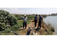 Manavgat’ta çiftçinin, hem su motorunu hem ürününü çaldılar