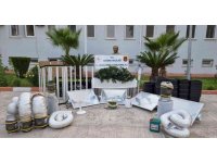 Kaçak elektrikle kenevir yetiştirmiş