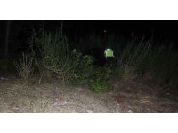 Adana’da otomobil otluk alana devrildi: 2 yaralı