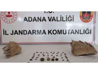 Adana’da mamut fosili ele geçirildi