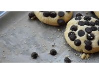 Böcekli pastalara el konuldu