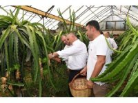 Vali Yazıcı: "En çok tarım ve hayvancılıkla uğraşanların kazanmasını isterim"