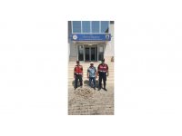 Seradan kablo çaldı, jandarmadan kaçamadı