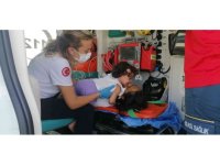 Küçük çocuk kazada yaralanan annesini biran olsun bırakmadı