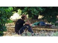 Ailesine "ölüme gidiyorum" dedi, üniversite bahçesinde cansız bedeni bulundu