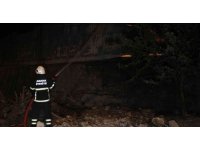 Adana’da geri dönüşüm fabrikasında yangın