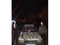Yasa dışı tavşan avı pahalıya patladı