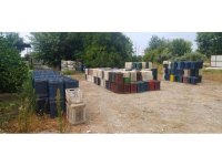 Hatay’da 963 adet narenciye kasası çalan zanlı yakalandı