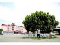 Yüreğir’de okullar yeni eğitim dönemine hazırlanıyor