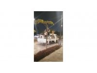 Antalya’da kamyonet üzerindeki diskonun faturası ağır oldu