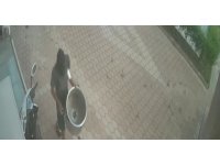 Elini kolunu sallayarak geldiği site bahçesinden aşure kazanını çaldı