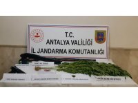 Jandarmadan Finike’de uyuşturucu operasyonu: 1 gözaltı
