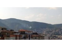 Hatay’da çıkan orman yangını kontrol altına alındı