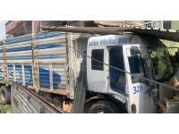 Kamyon, ağaca ve oturan adama çarpıp odunluğa girdi