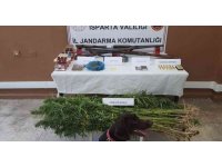 Yasa dışı kenevir ekimi yapan 2 kişi yakalandı