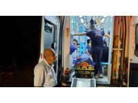 Kontrolden çıkan otomobil zeytin bahçesine uçtu: 2 yaralı