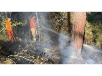 Alanya’daki orman yangını hızlı müdahaleyle büyümeden söndürüldü