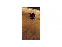 Kontrolden çıkan motosiklet devrildi: 2 yaralı