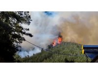 Orman yangınına müdahale sürüyor