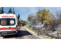 Osmaniye’de orman yangını kontrol altına alındı