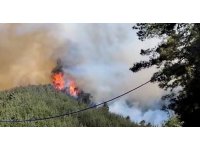 Kahramanmaraş’taki yangında 35 hektar ormanlık alan zarar gördü