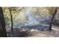 Hatay’da çıkan orman yangınına müdahale ediliyor