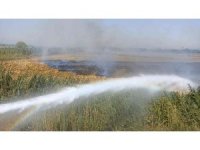 Osmaniye’de çıkan anız yangını söndürüldü