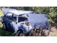 Ağaçlık alana uçan otomobilin sürücüsü yaralandı