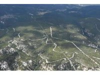 Gölhisar Orman İşletme Sahası havadan denetlendi