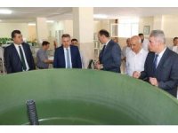 Göl ve göletlere 10 milyon yavru balık