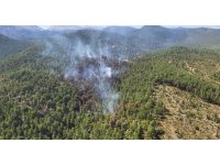 Antalya’da orman yangını kontrol altına alındı