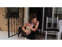 Uyutulmak istenen köpeğe kıyamadı, komşusuyla karakolluk oldu