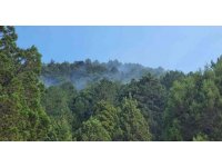 Isparta Senirkent’te çıkan orman yangını kontrol altına alındı