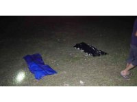 Serinlemek için gölete giren 2 kardeş boğuldu