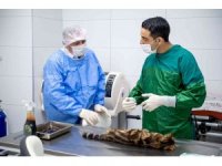 Sokak hayvanları kitap karşılığında kısırlaştırılıyor