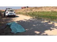 Adana’da sulama kanalında kadın cesedi bulundu