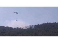 Şimşekler orman yangını çıkardı