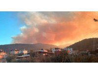 Mersin’de orman yangını: Havadan ve karadan müdahale için ekipler harekete geçti