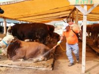 Kurban satış noktaları ilaçlanıyor