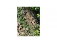 Feke’de kenevir operasyonu