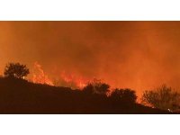 Mersin’deki orman yangını D-400 karayoluna ulaştı, yol kapatıldı